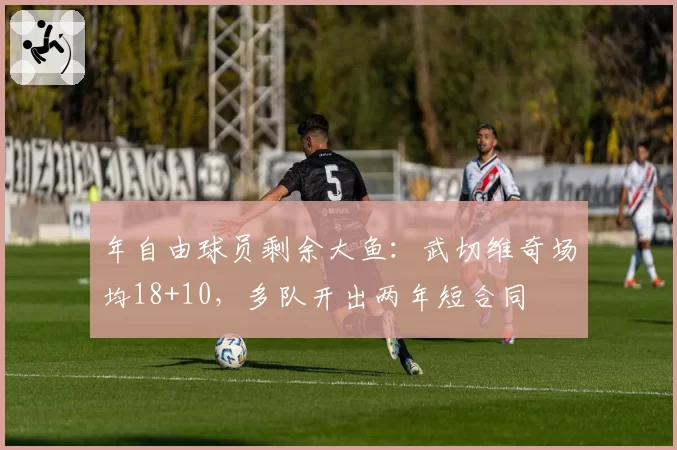 年自由球员剩余大鱼：武切维奇场均18+10，多队开出两年短合同
