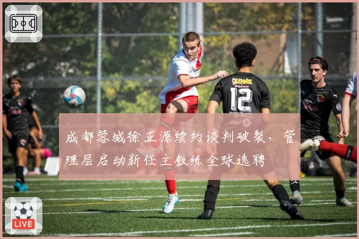 成都蓉城徐正源续约谈判破裂,管理层启动新任主教练全球选聘