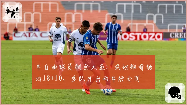年自由球员剩余大鱼：武切维奇场均18+10，多队开出两年短合同